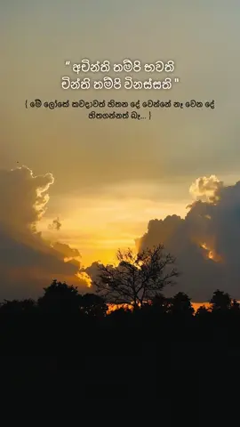 { මේ ලෝකේ කවදාවත් හිතන දේ වෙන්නේ නෑ වෙන දේ හිතගන්නත් බෑ... } #buddha #dhamma #buddhist #fyp #foryou 