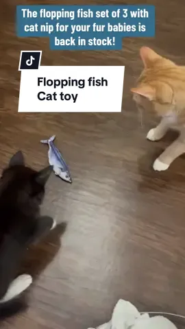 #cattotsforthewin #fishcattoy #funnycats #cattoysuggestions 