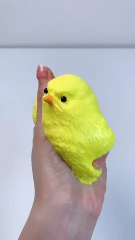 FUFUSQUISHY ASMR 🐤🐤Chicks