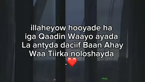 lovvve saarr❤️#ՏᕼᗩᖇᗰᗩᗩKᗴ🤴🏽 #ՏᕼᗩᖇᗰᗩᗩKᗴ🤴🏽 #ՏᕼᗩᖇᗰᗩᗩKᗴ🤴🏽 #fypviralシ #ՏᕼᗩᖇᗰᗩᗩKᗴ🤴🏽 