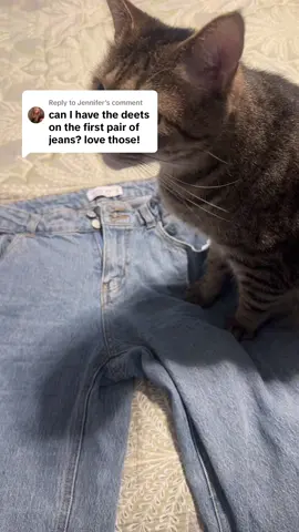 Replying to @Jennifer I just got these from Kohl’s on clearance! #OOTD #catfashion #vanillastarjeans #kohlsfinds 