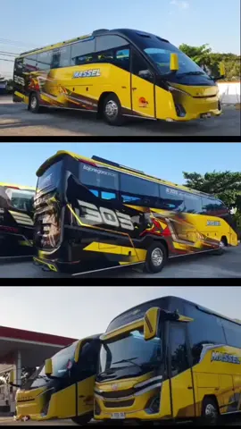 ada terobosan terbaru nih.. karoseri d Indonesia.. 🔥🔥, roket darat ... video by Massel ,om devry ...#fyppppppppppppppppppppppp #buspariwisata #busvideo #busindonesia 