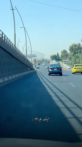 حبيبك طير وبحسراته مذبوح 🤎🎶#تصوير #شاشة_سوداء🖤 #طبيعه #ياس_خضر #تصويري_احترافي_الاجواء👌🏻🕊😴 