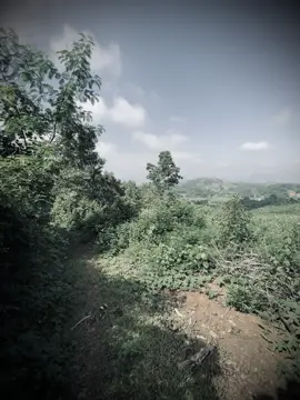 “爱情不需要有多伟大，只要能让我们在一起感到平静就好。” “Yêu thương không cần lớn lao, chỉ cần đủ để ta thấy bình yên bên nhau.”