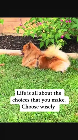 #karma #lifechoices #laughing #karmaisreal #darkwitch 