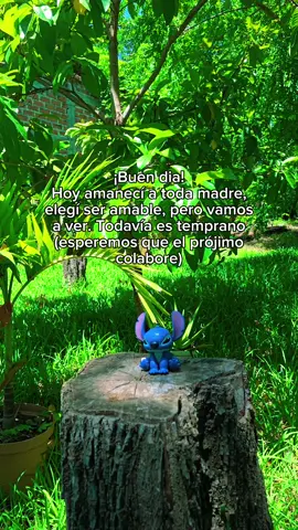 #stitch #buenosdias #motivation #disney #frases 