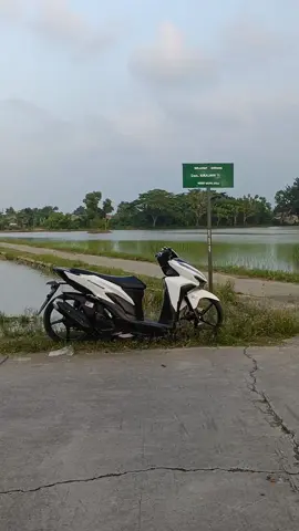 sawah+plang jalan #varioputih#vario125 