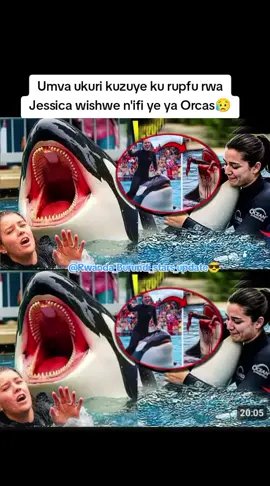 😥ibyo twumvishe mbere hose siko kuri🤔🤔#rwandaburundistarsupdate⭐★ #rbsupdate⭐★ #jessica #orcas #orca 