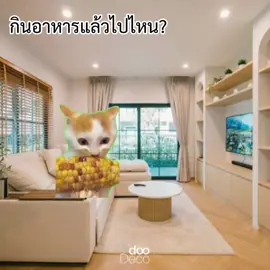 #สาระ เคยสงสัยไหมอาหารไปไหนทำไมเราต้อง อุจจาระ ?