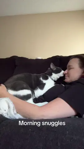 Morning snuggles #cat #catsoftiktok #catlover #viral #foryoupage 