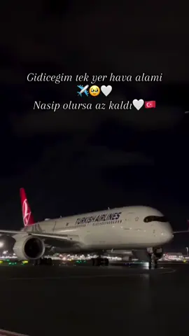 Nesip bolsa #🇹🇷 