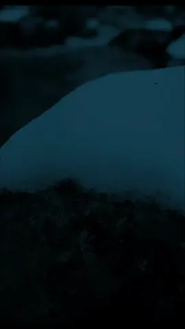 #aslamic_videos 