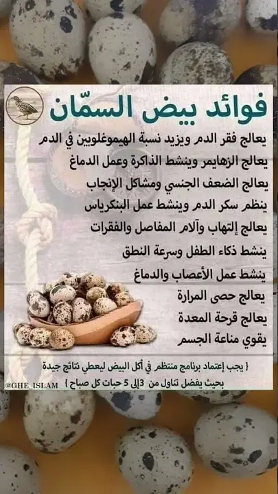 #كل مما اتاك الله وقل بسم الله وتوكل على الحي القيوم