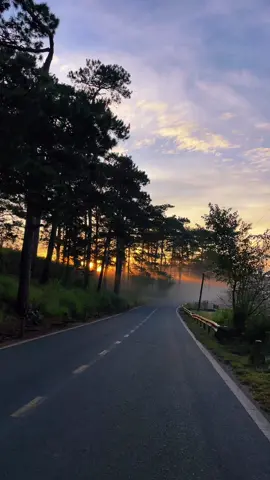 Em vào đời bằng đại lộ. Con anh vào đời bằng quốc lộ. #dalat #clip #chill #reviewdalat #daoduyquang 