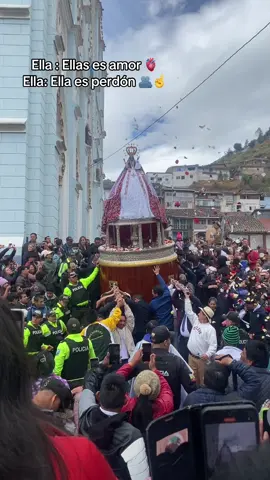 Virgencita del cisne 🦢 🙏#Cisne #paratii 😌🫶💜