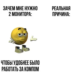 видео с собакой взял у @dnb  #собака #монитор #рек #мем 