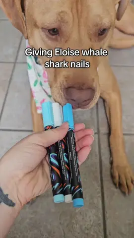 #nailart #nailinspo #dogtok #pitbull #whaleshark 