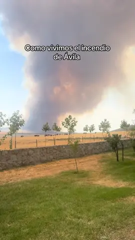 Así vivimos el incendio, desde la ganadería de Félix 