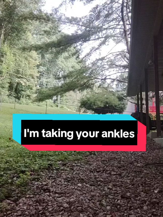 You've ran far, but this is the end...of your ankles 😈 #meme #dance #unapalomitablanca #whyamilikethis 