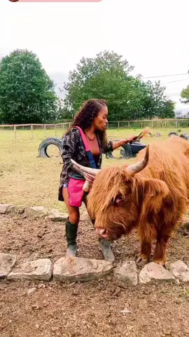 @My Pets Palace Uk @Swearing Shepherdess @My Pets Palace 