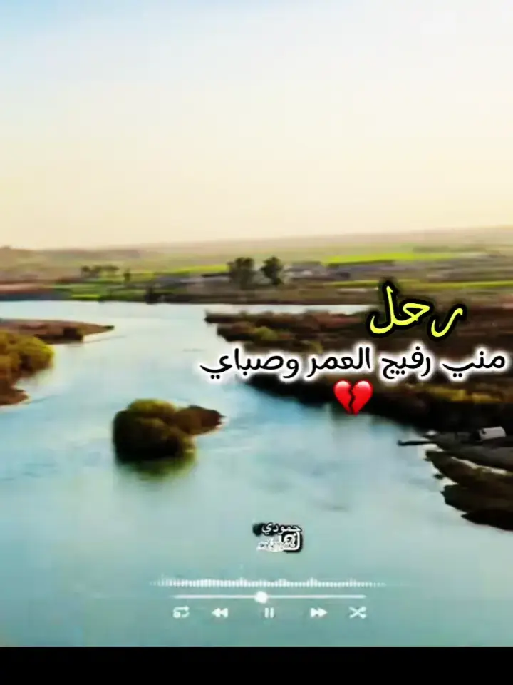 #شعراء_وذواقين_الشعر_الشعبي🎸 #موالات_حزينة_عراقية💔 #فقدنا_عزاز_ما_عندك_خبرهم؟🥺 #الشعب_الصيني_ماله_حل🥀😭😢 #مشاهير_تيك_توك 