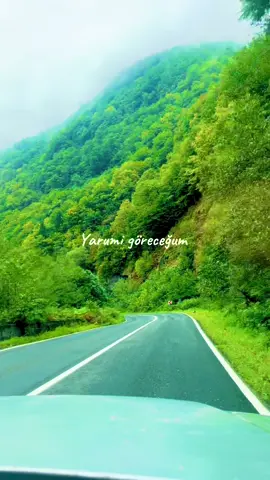 Hiç aşık oldunuz mu  #karadeniz #karadenizli #karadenizşarkıları #karadenizlilerburdamı #tulum 
