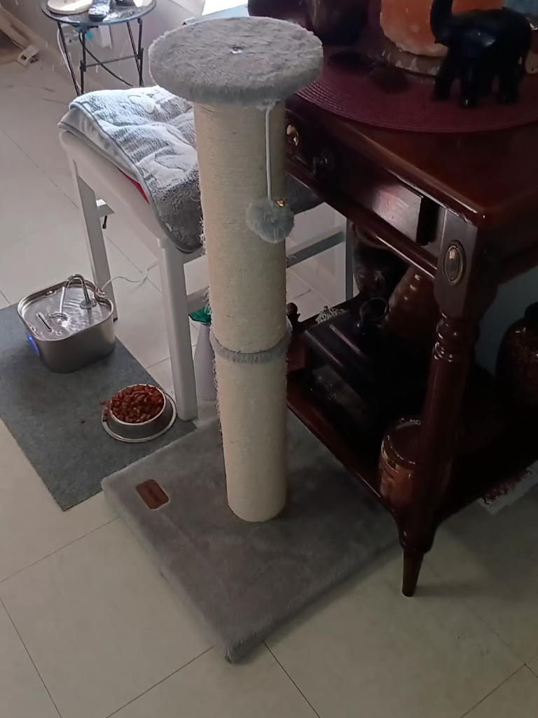 #Largecatscratchingpost #ashesthecat #cat #fypシ #PetsOfTikTok 