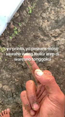 wkwk #fyp #blora24jam #petanicabai🌶️🌶️🌶️ #petaniindonesia🇮🇩🇮🇩🇮🇩🌿🌿 #senimanpertanian 