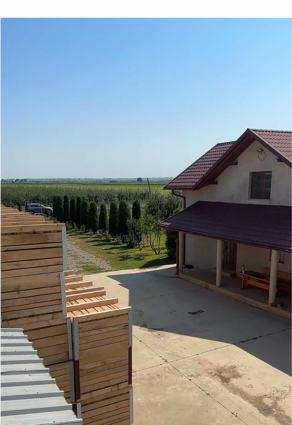 Viața la înălțime are altă perspectivă 😎⬆️ #fyp #foryou #farmtok #agrolife #vopsit 
