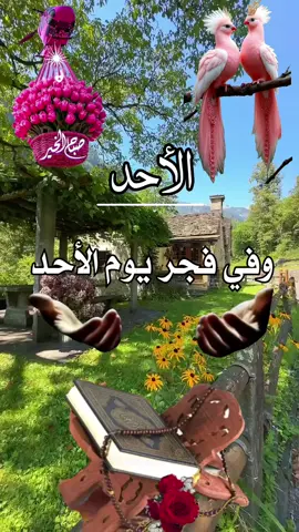 دعاء يوم الأحد #صباح_يوم_الاحد #يوم_الاحد #دعاء_يوم_الاحد #الاحد #صباحكم_معطر_بذكر_الله 