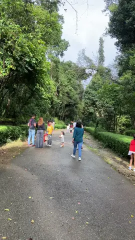 Godawari Nepal #swyambhu #nepal #trandingvideo #viral #fyp 
