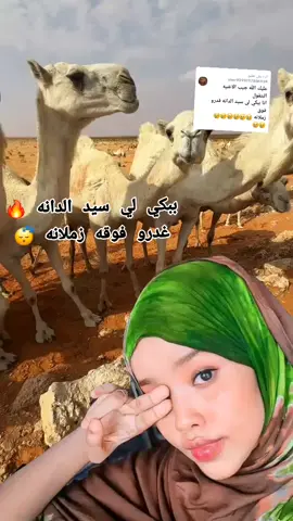 الرد على @user9399757806959 #الغبرون ببكي لي سيد الدانه 🔥 غدرو فوقه زملانه 😴#جقله_الخير_جقله_العز #الشهداء_احياء_عند_ربهم_يرزقون #جنيديون_ولنا_في_قمة_المجد_رايات🔥🇸🇩 