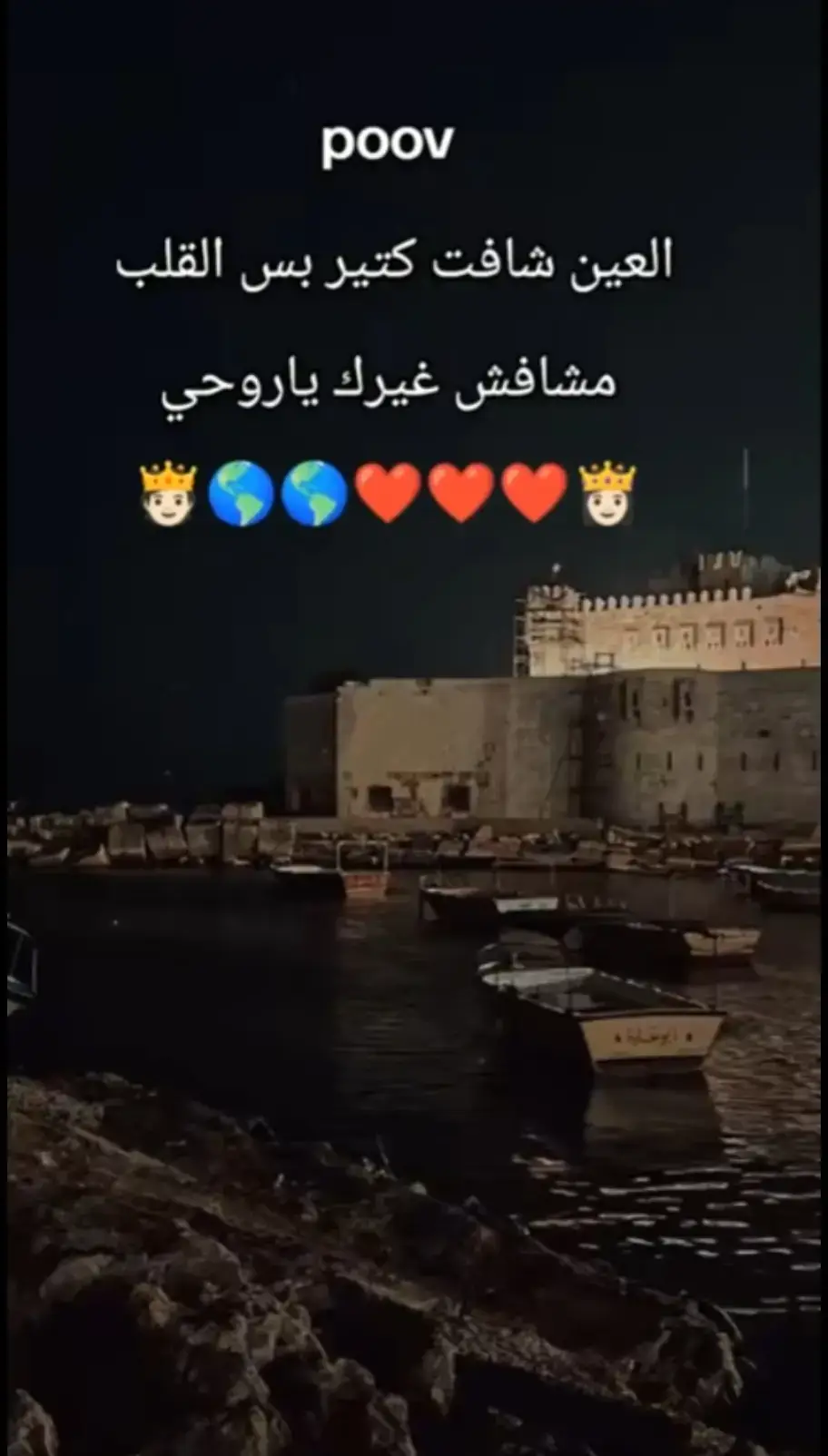 العين شافت كتير بس القلب مشافش غيرك ياروحي#❤️❤️💍 🫂