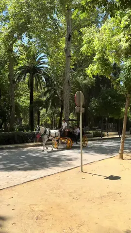 Andalucía es un sentimiento #andalucia #espana #verano 