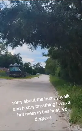 #vultures 