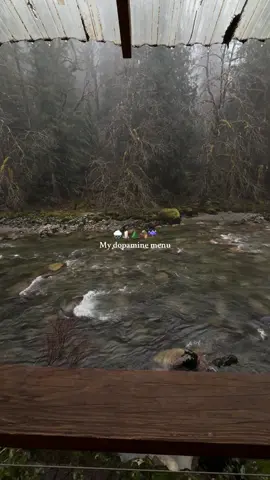 My dopamine menu 🌲🌧️ 🪵🕯️ #nature #rainyday #dopamine #moody #pnw 