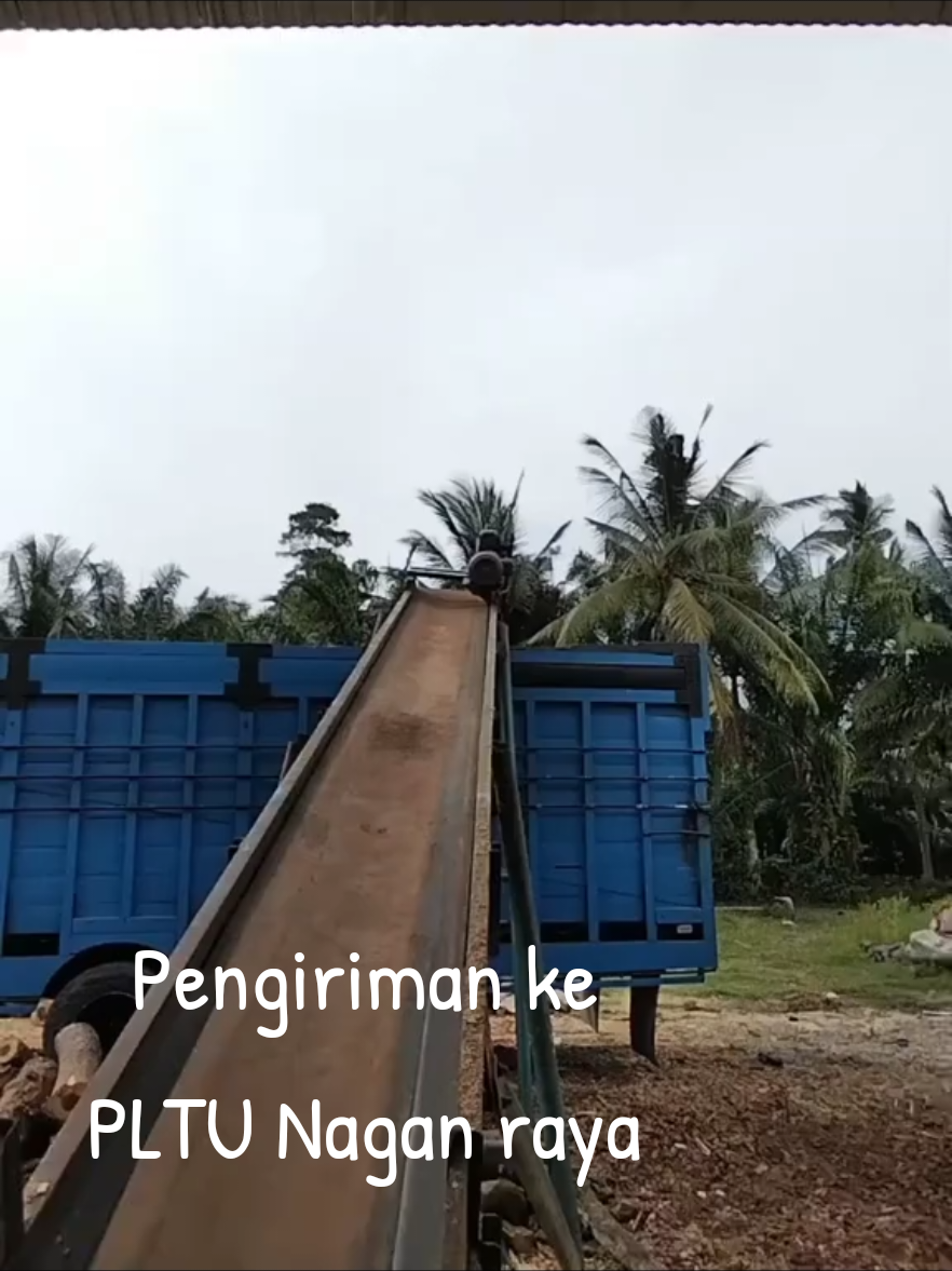 pengiriman Woodchip