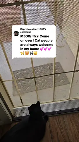 Replying to @catparty007 