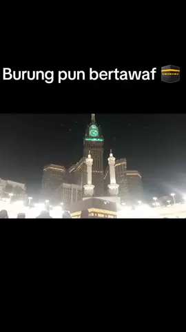Burung pun bertawaf 🕋  #tawaf  #baitullah  #samiramitracirebon  #samiratravel  #happyumroh 
