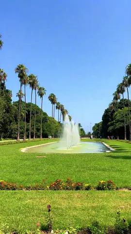 #travel #algerie🇩🇿 #alger #lifstyle #تحواس_زين🚌🇩🇿 #jardindessai #حديقةالحامةبالجزائرالعاصمة🇩🇿💚 