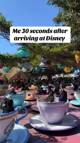 29 more days till this feeling #disney #disneyland #disneytok #disneyparks #disneyadult 
