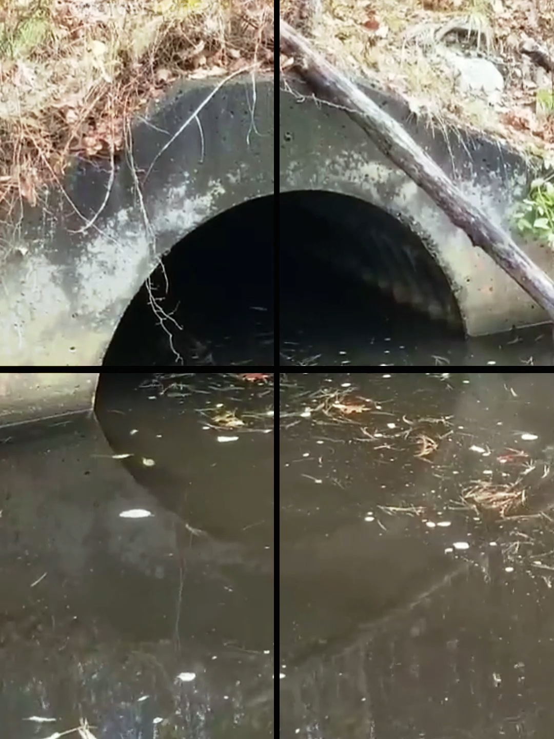 #uncloggingdrain #drain #satisfying #relaxingvideos #cleaning #foryou