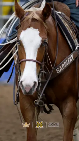 𝓡𝓸𝔂𝓪𝓵 𝓒𝓻𝓸𝔀𝓷 Today’s Stream Schedule: • Intermediate Heading • Limited Heeling • 4 & Under Heading 👉🏻 Live Feed: xftr.net/rcrc25 Videos: XFRundelivery.com