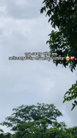 শুধু একবার পাইয়া যায়- কোইলজার ভিতর গাথি রাইখুম তোয়ারে
