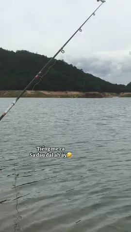 Tình mơi ca 🤣#giaitri #câucá #xuhuong2025 #fishing #caucagiaitri 