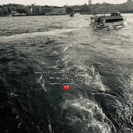 #ex#fyppppppppppppppppppppppp #explore #4u #viraltiktok 