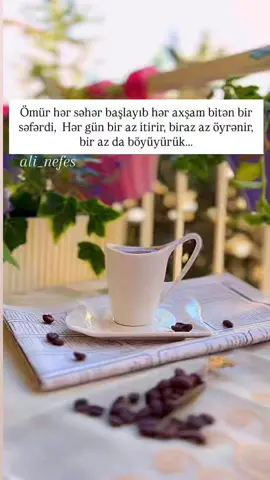 #fyp✨ #fyp✨ 