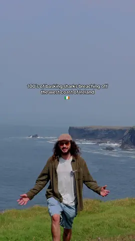 Hundreds of basking sharks breaching off the Clare Coast 🇮🇪  Have you ever seen anything like this? The courtship might be kicking off and I was lucky to be in the right place at the right time, for the second year in a row. Just off the coast of county Clare the headland was surrounded by hundreds of basking sharks, not cruising like they usually do, but breaching, circling and possible even courting. This kind of surface activity could be part of a rarely seen mating ritual, and it’s something researchers are just starting to understand. Irelands west coast never fails to blow my mind. Nature at its most raw, powerful and mysterious.  These animals must not be interfered with and observed very carefully with cation. Hopefully bringing awareness to our beautiful marine life also helps to get it protected. Grá mór  ☘️💚🇮🇪