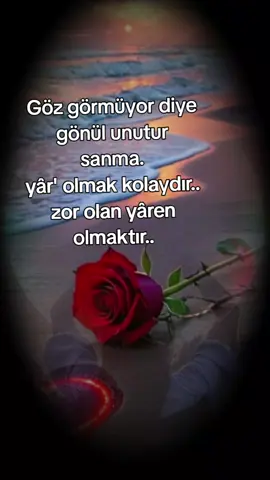 Her kahrınla sevdim seni değse de değmese de  Ne diyordu şair; 