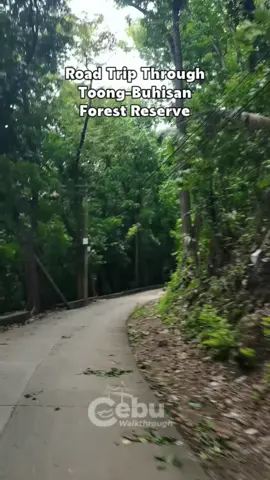 🌿 Road Trip Through Toong-Buhisan Forest Reserve 🚗✨ Escape the city and enjoy a refreshing drive to the Toong-Buhisan Forest Reserve, a hidden gem in Cebu known for its lush greenery, fresh air, and scenic landscapes. Perfect for nature lovers, road trip enthusiasts, and anyone seeking a quick eco-adventure close to the city. 🌳🌄 #ToongBuhisan #CebuRoadTrip #ForestReserve #EcoAdventure #CebuWalkthrough 
